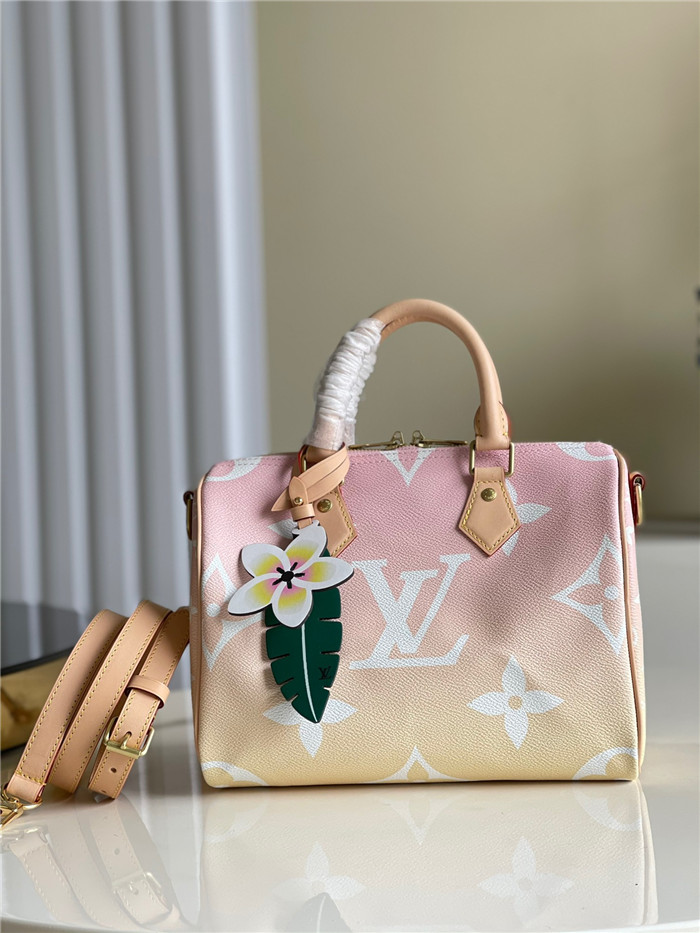 Louis Vuitton  루이비통 모노그램 자이언트 스피디 반둘리에 25 핸드백 M45724